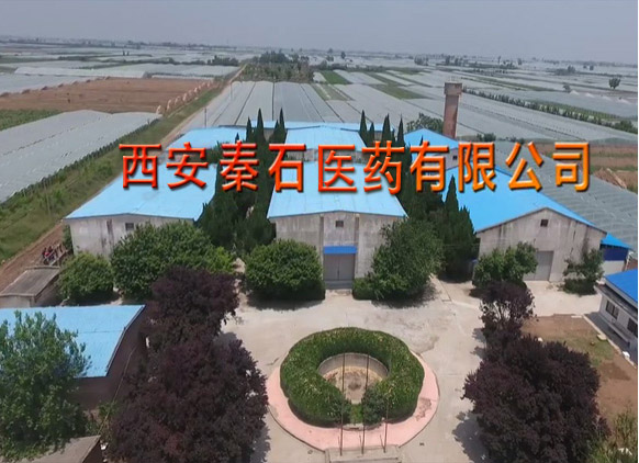 西安秦石医药有限公司